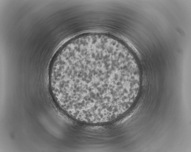 X0000114090837200911161035