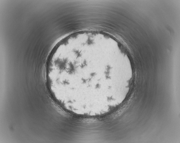 X0000114090838200911161035