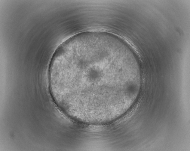 X0000114090840200911161035