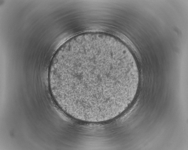 X0000114090842200911161035