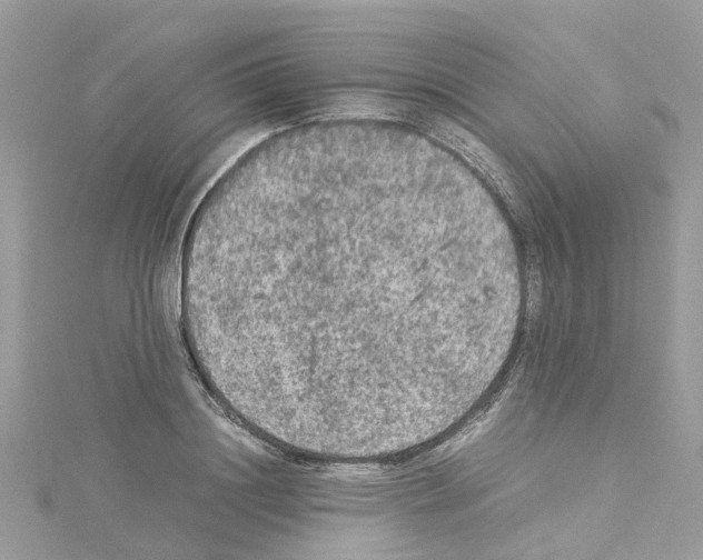 X0000114090844200911161035