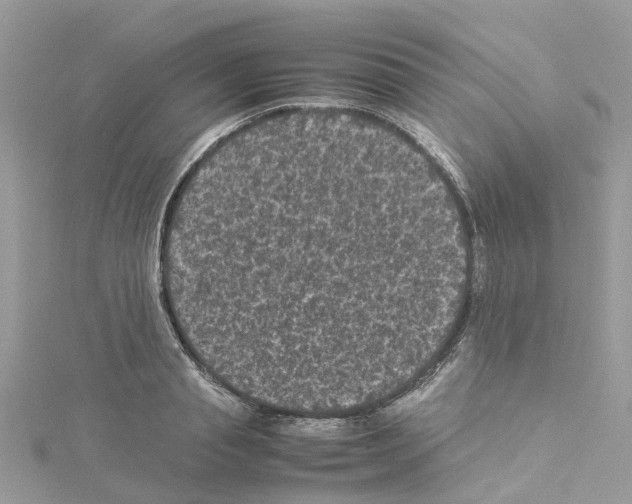 X0000114090845200911161036