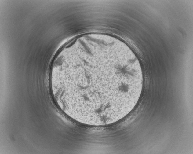 X0000114090846200911161036