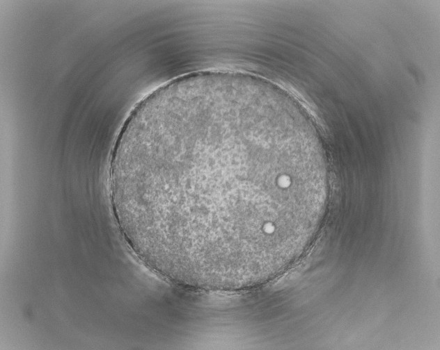 X0000114090848200911161036