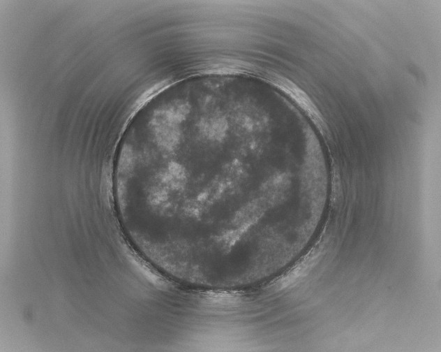 X0000114090850200911161036