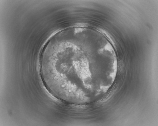 X0000114090851200911161036