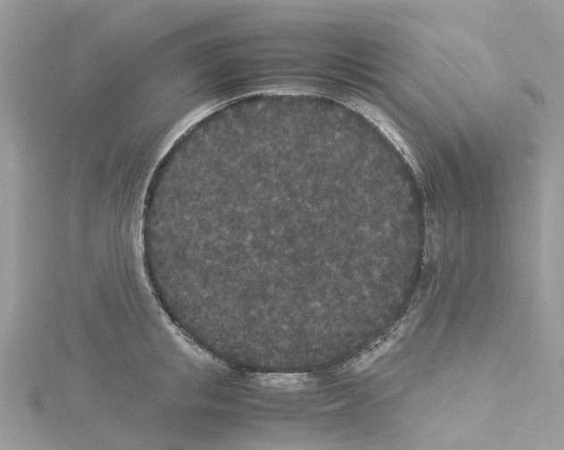 X0000114090853200911161036