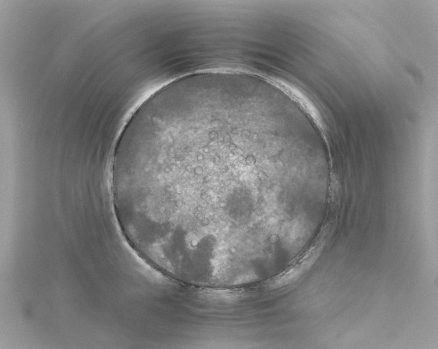 X0000114090855200911161036