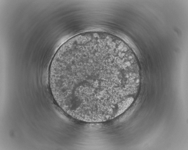 X0000114090858200911161036