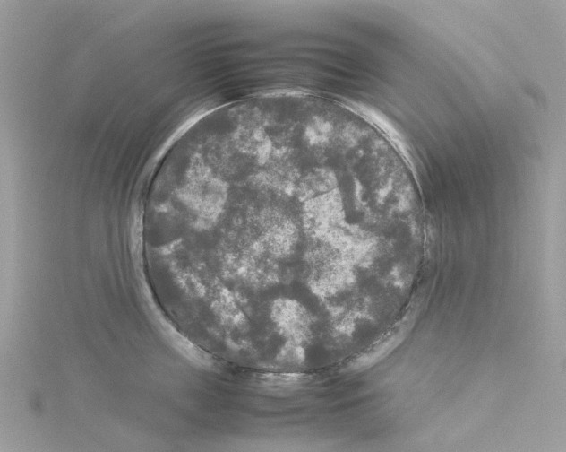 X0000114090859200911161036