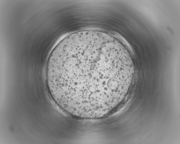 X0000114090860200911161036