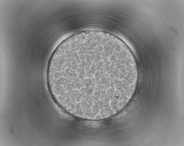 X0000114090861200911161036