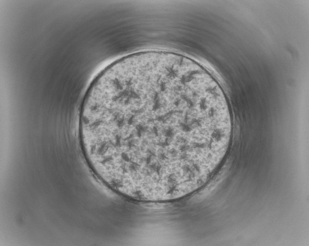 X0000114090862200911161036