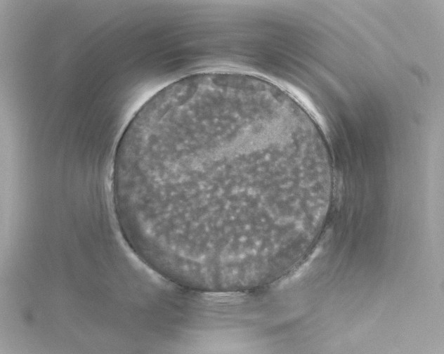 X0000114090863200911161036