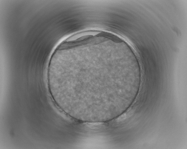 X0000114090864200911161036