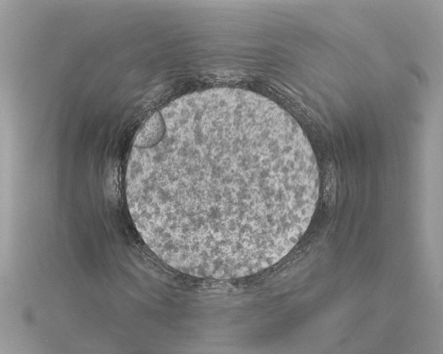 X0000114090866200911161035