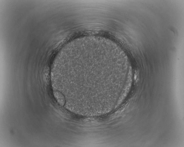 X0000114090867200911161035