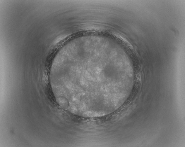 X0000114090869200911161035