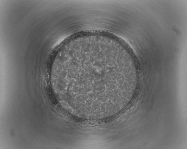 X0000114090871200911161035