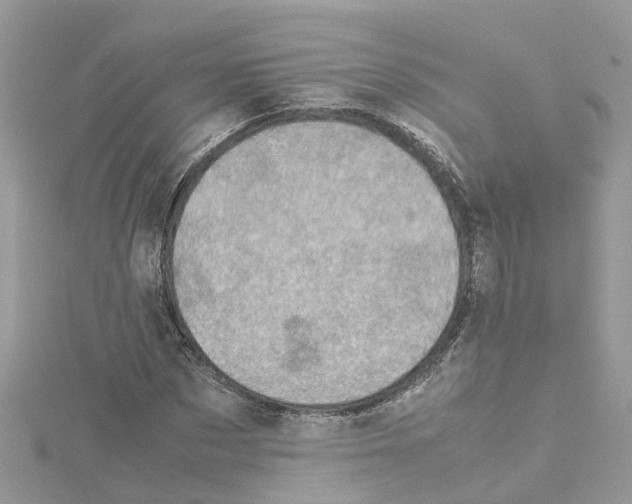 X0000114090873200911161035