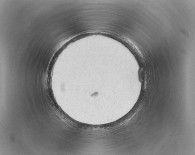 X0000114090876200911161035