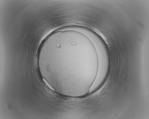 X0000114090877200911161035