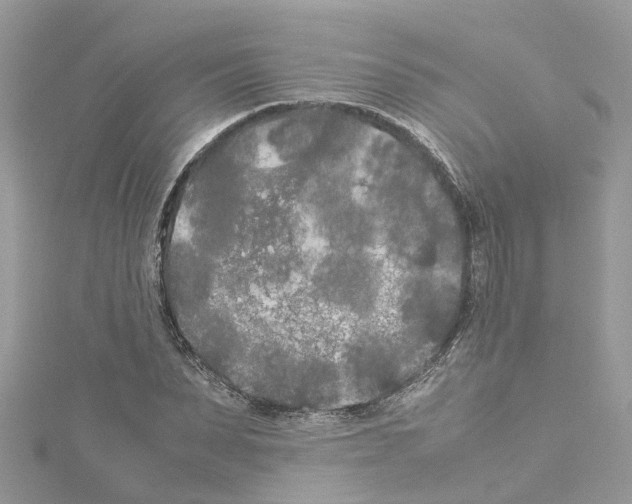 X0000114090879200911161035