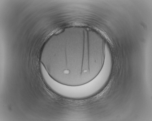 X0000114090881200911161035