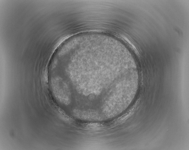 X0000114090883200911161035