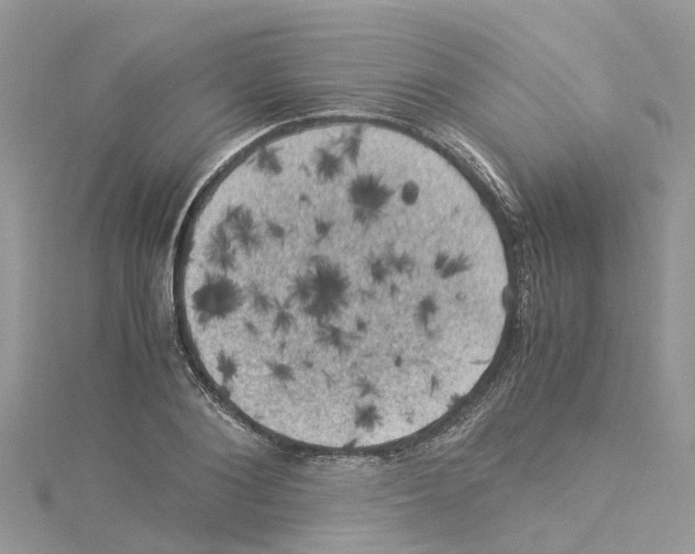 X0000114090884200911161035