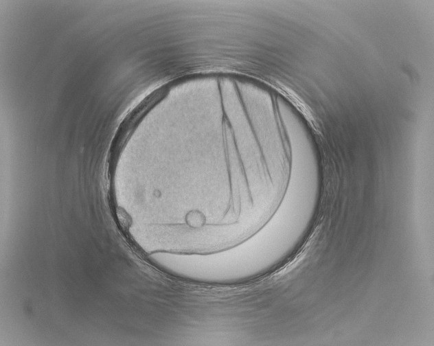 X0000114090885200911161035