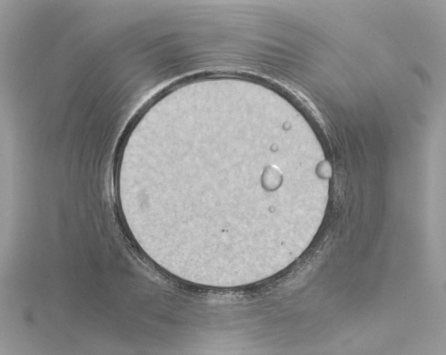 X0000114090887200911161035