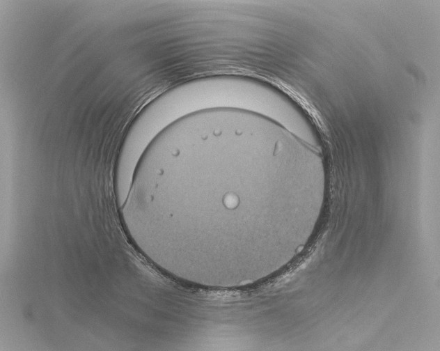 X0000114090889200911161035