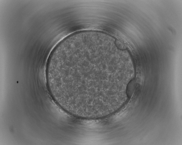 X0000114090892200911161035