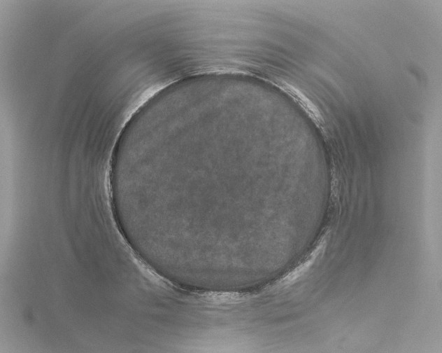 X0000114090893200911161035