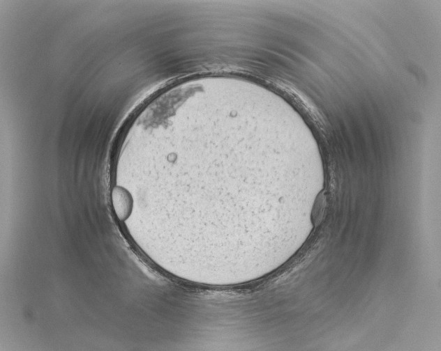 X0000114090894200911161035