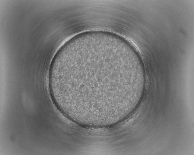 X0000114090895200911161035