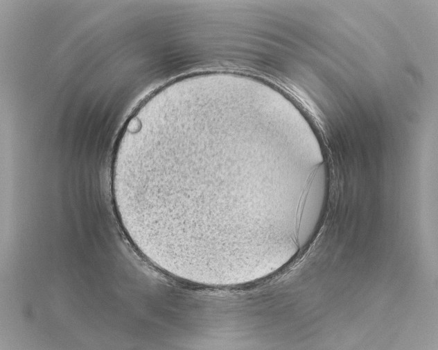 X0000114090896200911161035