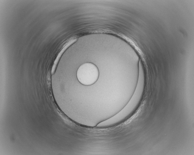 X0000114090897200911161035