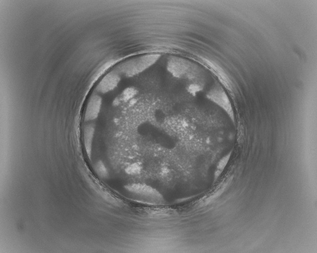 X0000114090899200911161035