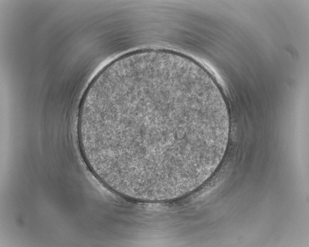 X0000114090903200911161034