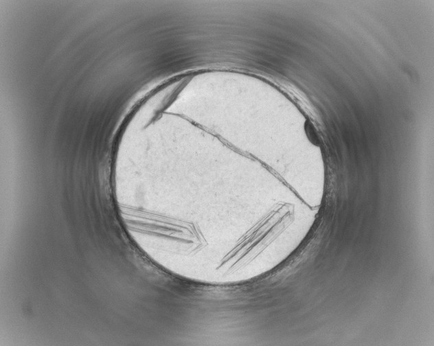 X0000114090904200911161034