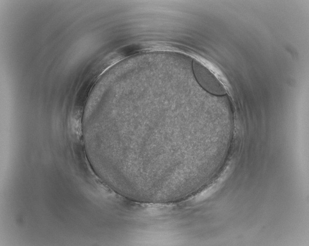 X0000114090905200911161034