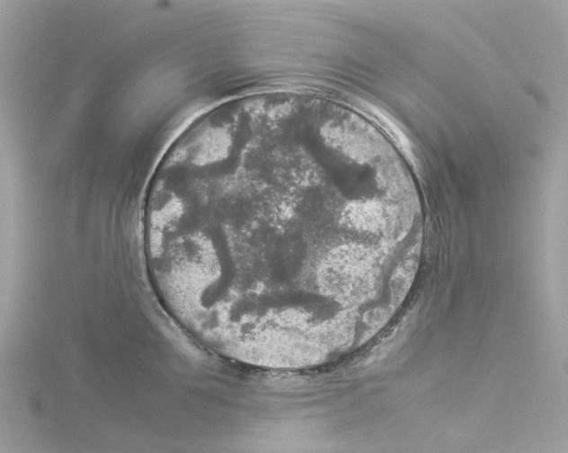 X0000114090907200911161034