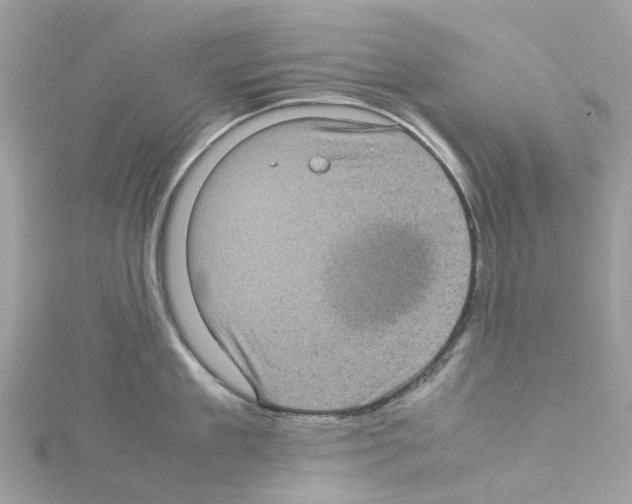 X0000114090909200911161034