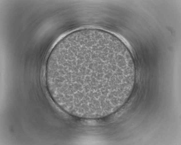 X0000114090911200911161034