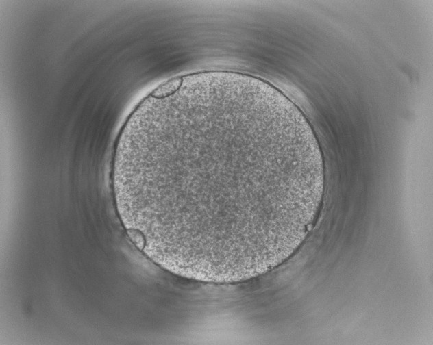 X0000114090912200911161034