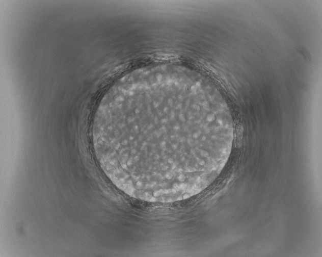 X0000114090913200911161034