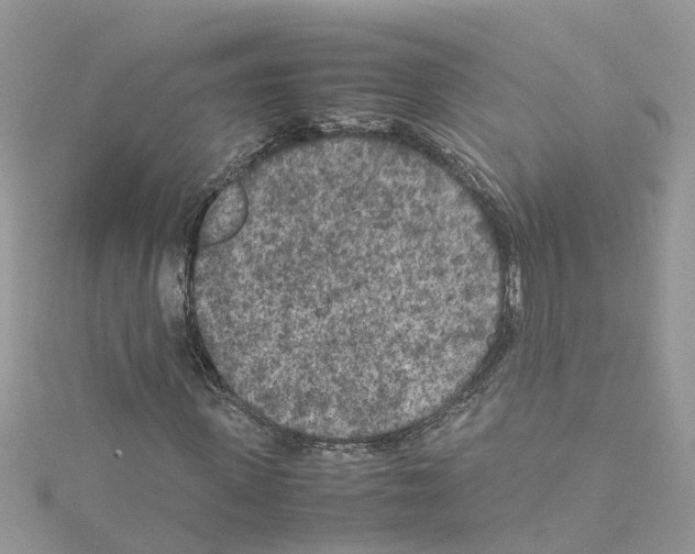 X0000114090915200911161034