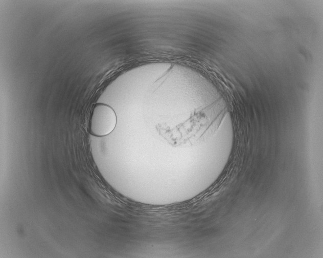 X0000114090916200911161034